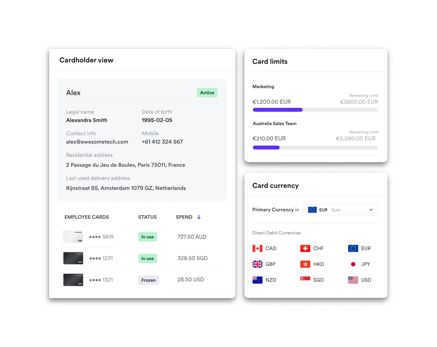 L'amministratore gestisce limiti e permessi delle singole carte aziendali